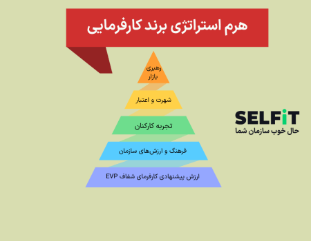 هرم استراتژی برند کارفرمایی-سلفیت