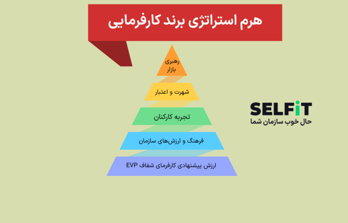 هرم استراتژی برند کارفرمایی-سلفیت