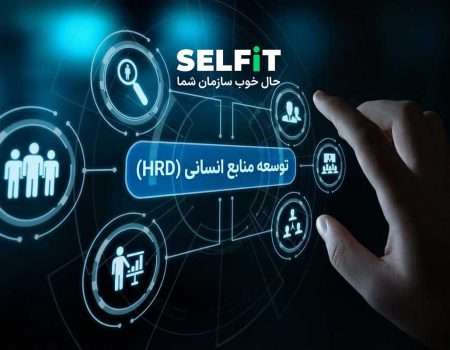 توسعه منابع انسانی-سلفیت