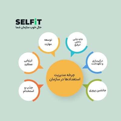 چرخه مدیریت استعداد چیست؟ از مرحله جذب تا جانشین پروری-SELFiT